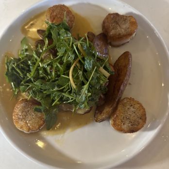 Gemma Fish + Oyster - Scallops - Seafood Near Me - Jacksonville, Florida
