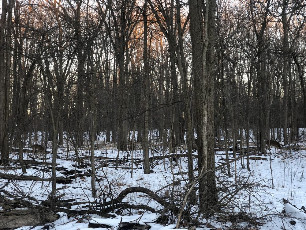 DODGE PARK 383 Photos & 39 Reviews Parks 40620 Utica Rd, Sterling