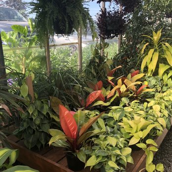 BOYERT’S GREENHOUSE & FARM - Updated January 2026 - 31 Photos & 17