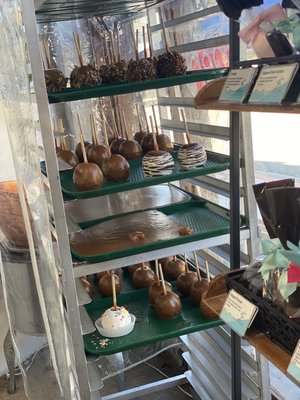 Beach Cities Cafe by null