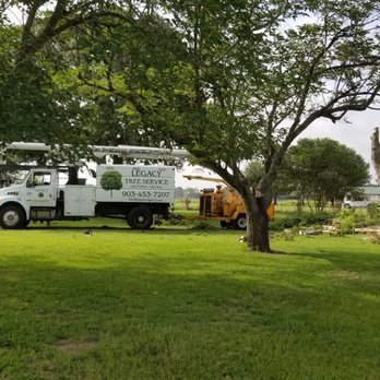 Legacy Tree Service - Tree Services Near Me Legacy Tree Service - Tree Services Near Me