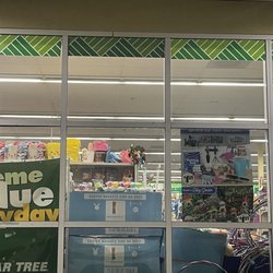 Dollar Tree - The store