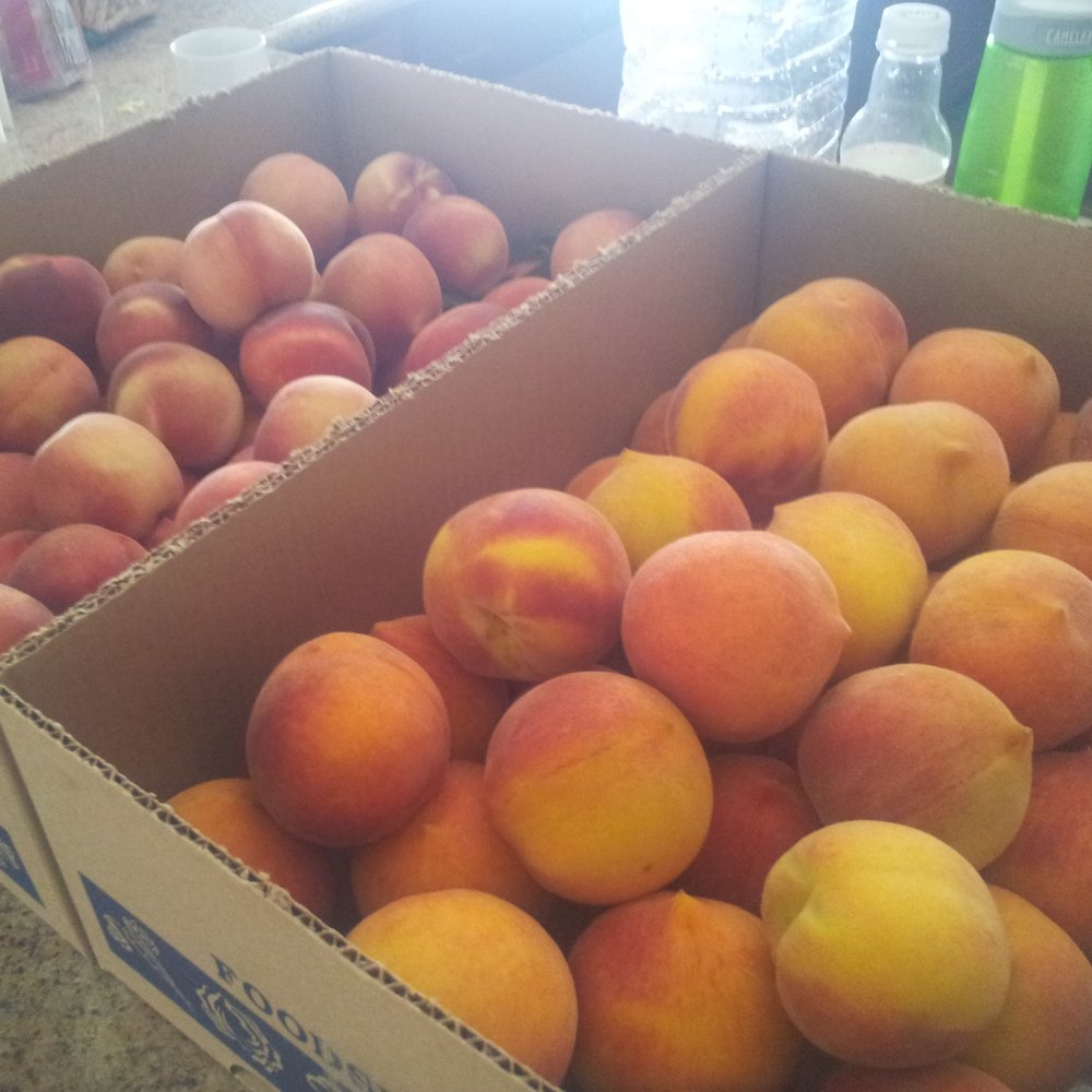 Wolfe Ranch - Peach haul! 43.5 pounds of yellow & white peaches for $45 - Fruits & Veggies Near Me - Brentwood, California Wolfe Ranch - Peach haul! 43.5 pounds of yellow & white peaches for $45 - Fruits & Veggies Near Me - Brentwood, California