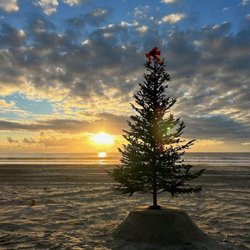 North Pole Christmas Trees
