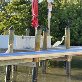 Tide Tables - View - Seafood Near Me - Cortez, Florida