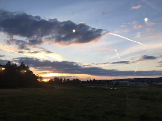 Ancestry Brewing by null