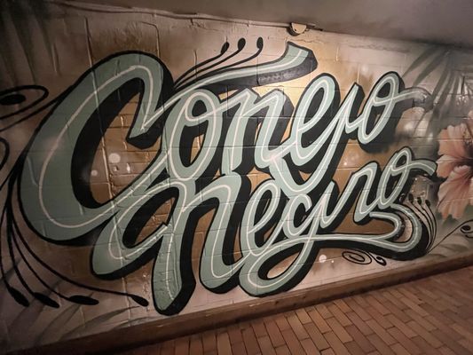 Conejo Negro by null