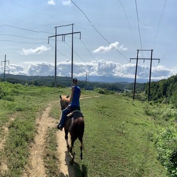 Goldrush Stables & Stage Lines - Mountain View - Horseback Riding Near Me - Pigeon Forge, Tennessee Goldrush Stables & Stage Lines - Mountain View - Horseback Riding Near Me - Pigeon Forge, Tennessee