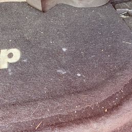 Vacuum should include the cargo area. They didn't touch this.