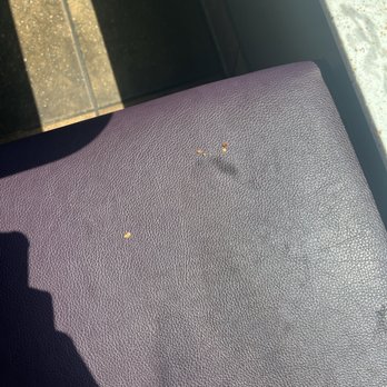 Taco Bell - dirty seats - Fast Food Near Me - Wichita Falls, Texas Taco Bell - dirty seats - Fast Food Near Me - Wichita Falls, Texas