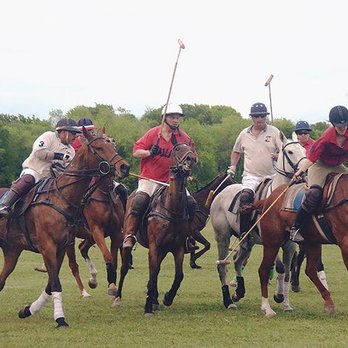 Dallas Polo Club - Sports Clubs Near Me - Red Oak, Texas Dallas Polo Club - Sports Clubs Near Me - Red Oak, Texas