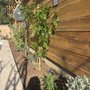 Orange Path Landscaping