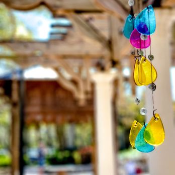 Seeds Cafe - Cafes Near Me - Royal Palm Beach, Florida Seeds Cafe - Cafes Near Me - Royal Palm Beach, Florida
