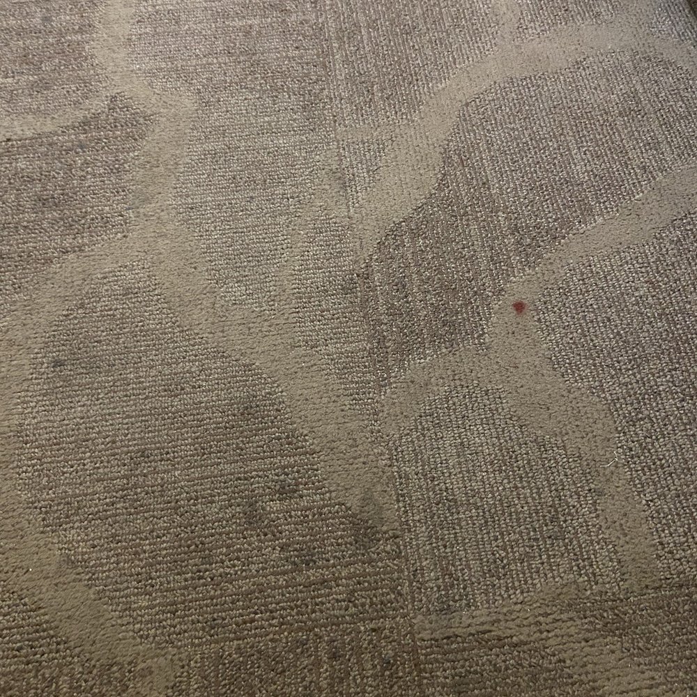 The Equus - Floor so nasty, I didn't let my bare feet touch it. The red splotches made it feel like a crime scene happened here... - Hotels Near Me - Honolulu, Hawaii The Equus - Floor so nasty, I didn't let my bare feet touch it. The red splotches made it feel like a crime scene happened here... - Hotels Near Me - Honolulu, Hawaii