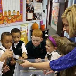 Westminster School - Hands-on science and math activities are routinely incorporated into lower-school classes.