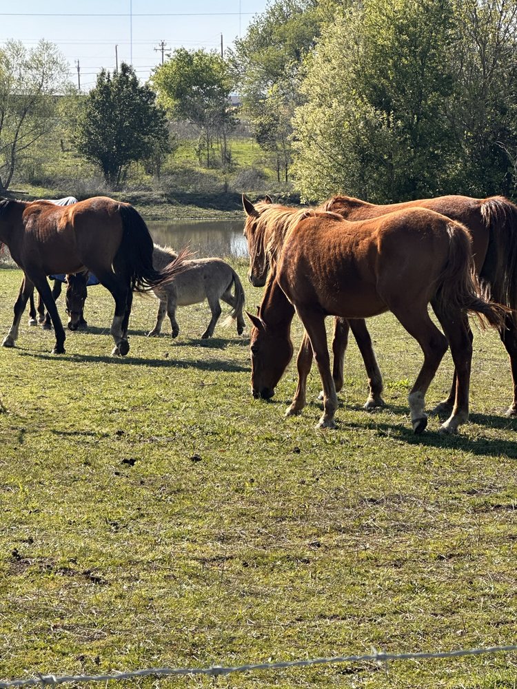 Happy Hooves Boarding Facility - equestrian in Coweta, OK