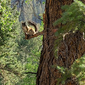 Staunton State Park - Hiking Near Me - Pine, Colorado
