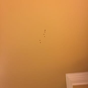McGrath Real Estate Services - Blood spatter on the ceiling. What on earth went on here and why didn't they make sure to clean it up before we moved in? - Property Management Near Me McGrath Real Estate Services - Blood spatter on the ceiling. What on earth went on here and why didn't they make sure to clean it up before we moved in? - Property Management Near Me