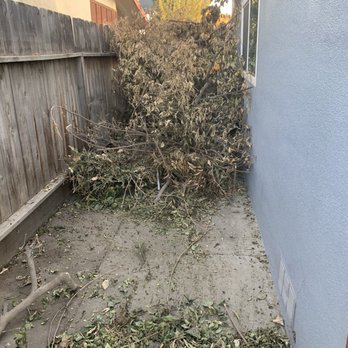 We Haul Junk Removal - Tree trash - Junk Removal & Hauling Near Me