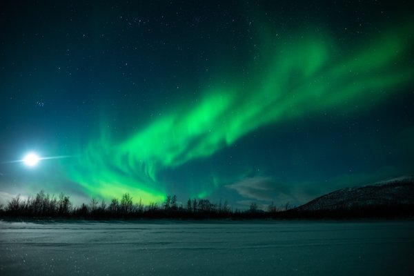 Chasing Lights by null