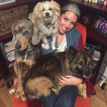 Sama Dog Wellbeing - Everyone wanted to sit on my lap.. together :) - Holistic Animal Care Near Me Sama Dog Wellbeing - Everyone wanted to sit on my lap.. together :) - Holistic Animal Care Near Me