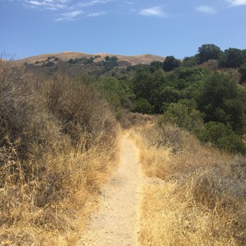 Alum Rock Park - Single track in the sun. - Parks Near Me - San Jose, California