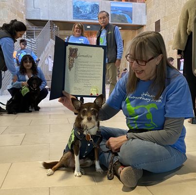 Austin City Hall by null