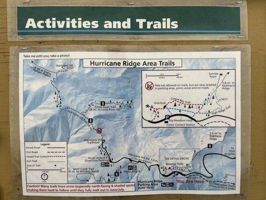 Hurricane Ridge by null