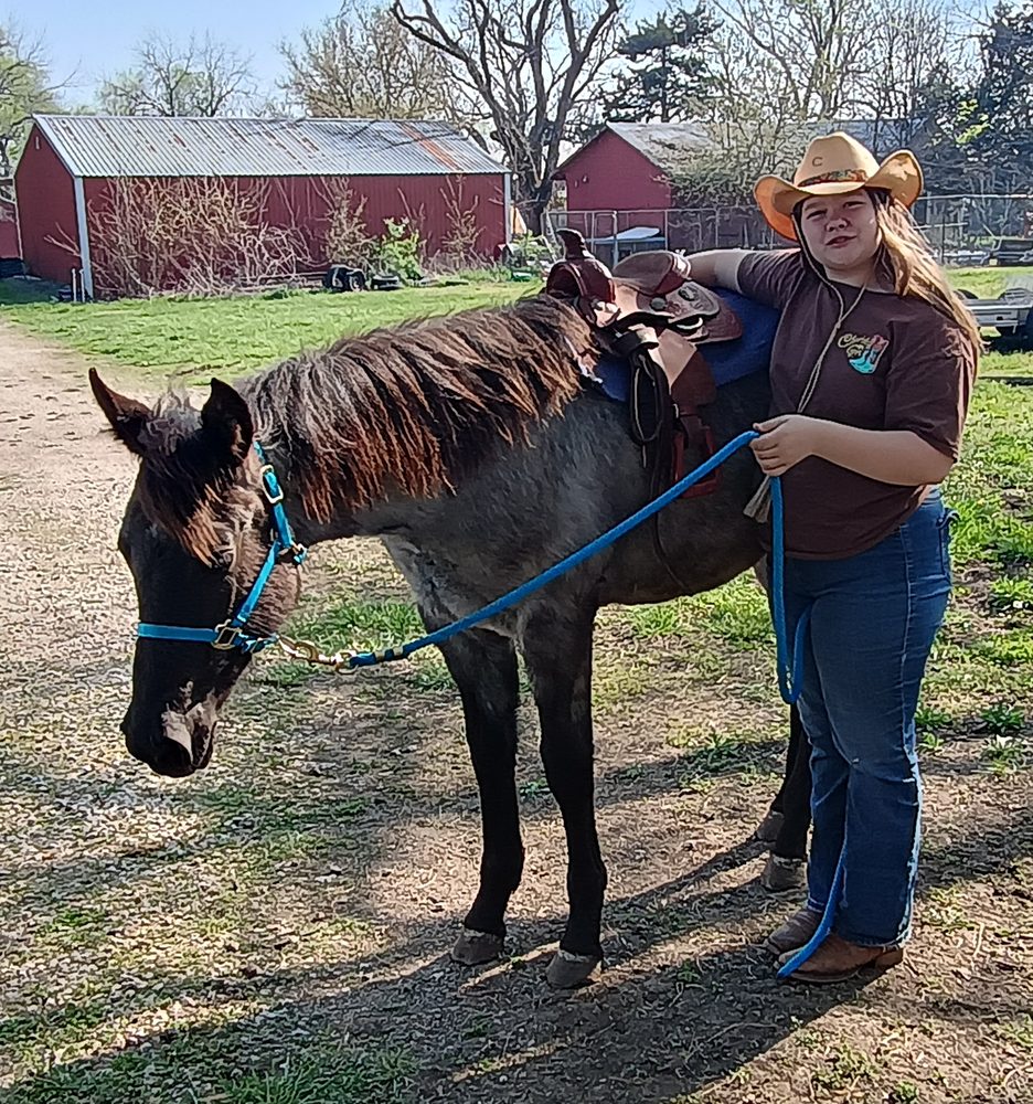 Tri Star Quarter Horses Logo