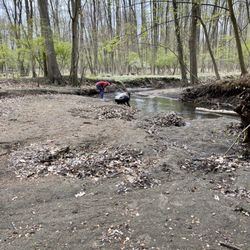 Poricy Park Conservancy - Bring your fossil hunting equipment!