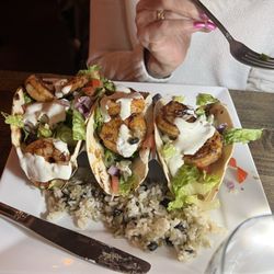 Black Cat Grille - Shrimp Tacos