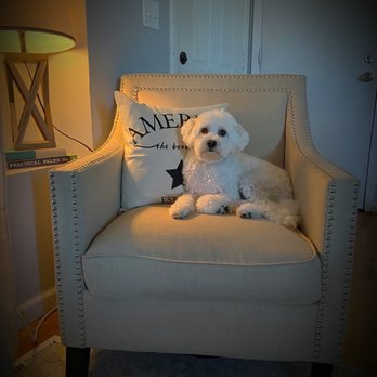 Shaggy Doggy Salon - Gigi - Pet Groomers Near Me - Aurora, Colorado
