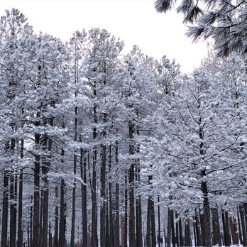 Lake Mary - Boating Near Me - Flagstaff, Arizona