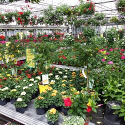Pein Blumenhof Pein Werner