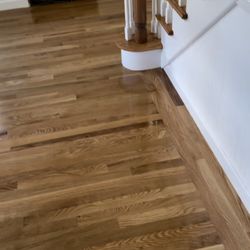 Massud & Son Floor Covering - New hardwood with "picture frame" added as a border wall.