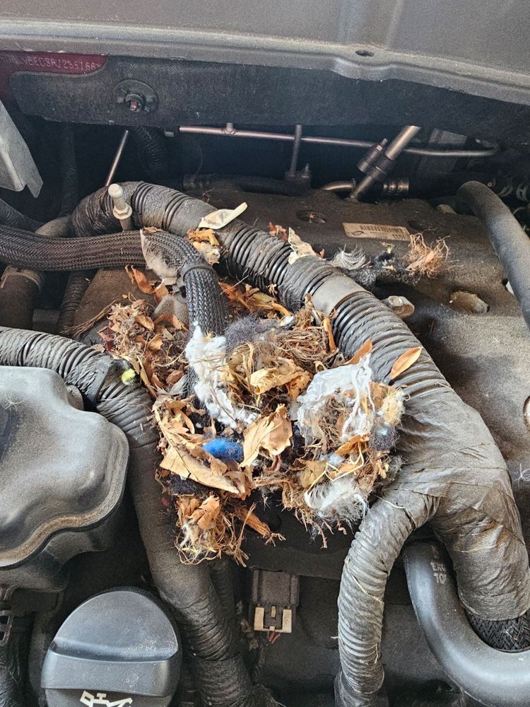 CRESTWOOD AUTO AUCTION 32 Photos & 18 Reviews 14106 S Cicero Ave