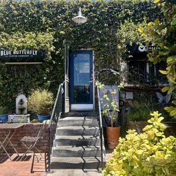 Blue Butterfly Coffee Co - Back entrance - Coffee & Tea Near Me - El Segundo, California Blue Butterfly Coffee Co - Back entrance - Coffee & Tea Near Me - El Segundo, California