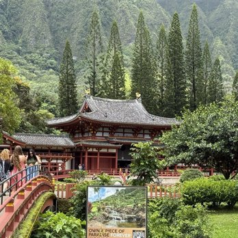 Tours Around Paradise - Tours Near Me - Honolulu, Hawaii Tours Around Paradise - Tours Near Me - Honolulu, Hawaii
