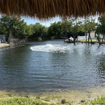 Leo's Campground - RV Parks Near Me - Key West, Florida