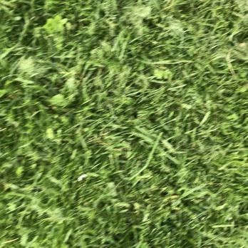 YarDudes - Lawn - Lawn Services Near Me
