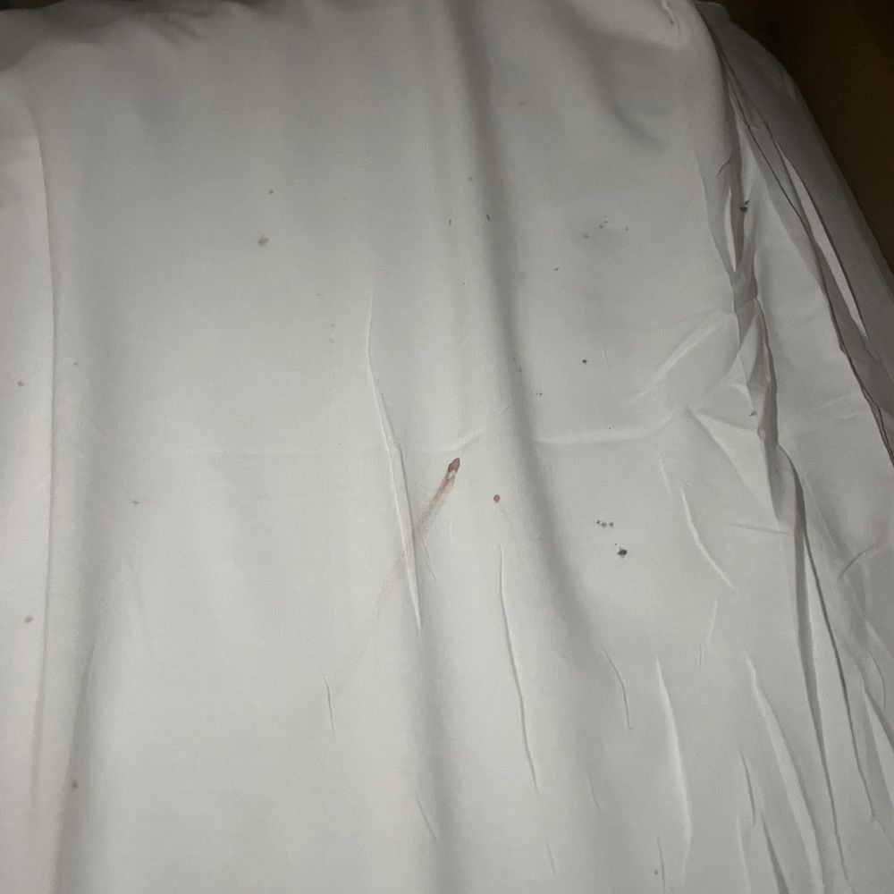 Bed bugs Bed bugs