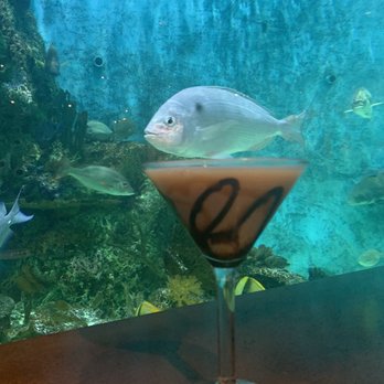 RumFish Grill - Seafood Near Me - St Pete Beach, Florida