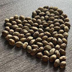 N2U Hemp