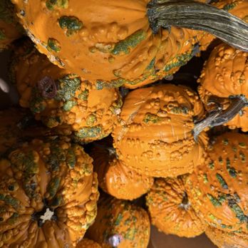 Ralphs - Pumpkins - Grocery Near Me - Placentia, California Ralphs - Pumpkins - Grocery Near Me - Placentia, California