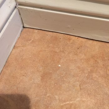 Style House Cleaning - after they cleaned the bathroom floor THREE Times - Home Cleaning Near Me Style House Cleaning - after they cleaned the bathroom floor THREE Times - Home Cleaning Near Me