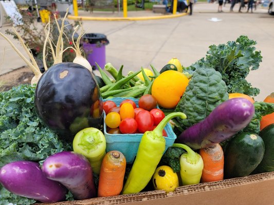 Urban Harvest Farmers Market by null Urban Harvest Farmers Market by null