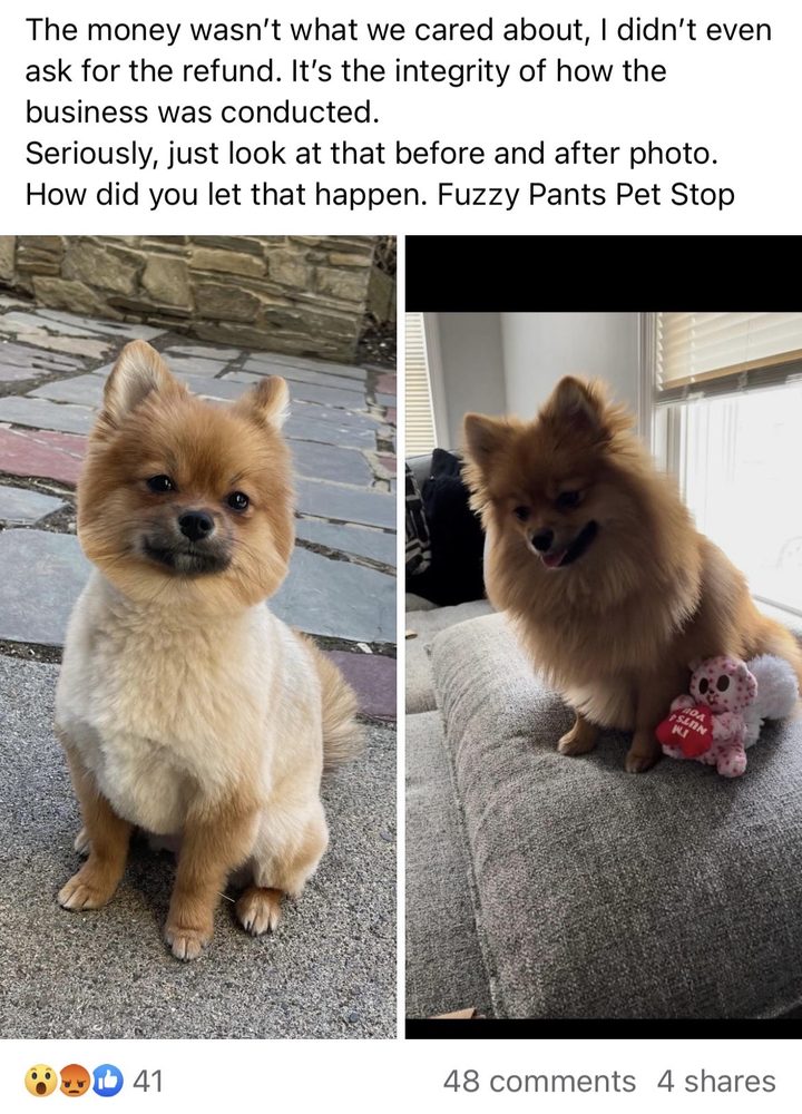 Fuzzy Pants Pet Stop Image