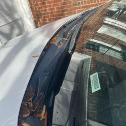 Avis Rent A Car