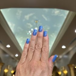 JK Signature Nail & Spa - Powdered w/ tips - blue #90 $55