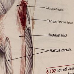 Thai Art of Massage - Photo from Jane's anatomy book. Areas to self massage.